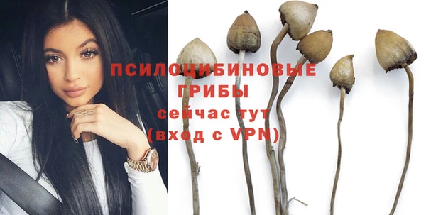 амф Абдулино