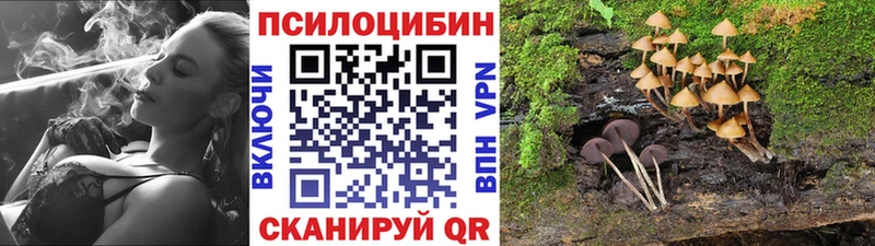 Галлюциногенные грибы Cubensis  закладки  Назрань 